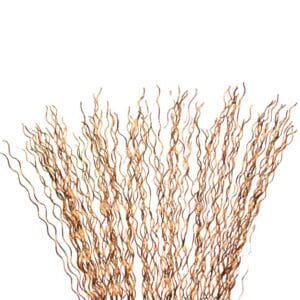 Brass Brush Wire